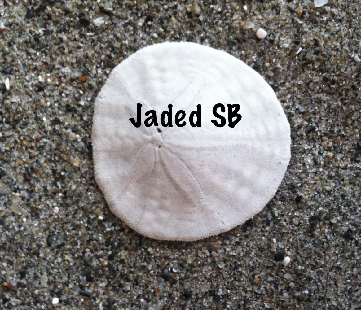New Shipping Label
