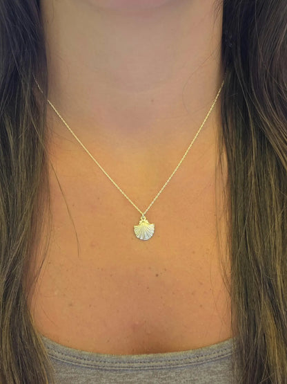 Sterling Silver Clam Shell Necklace My Store