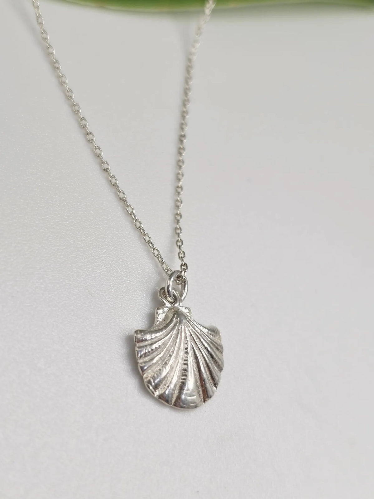 Sterling Silver Clam Shell Necklace My Store