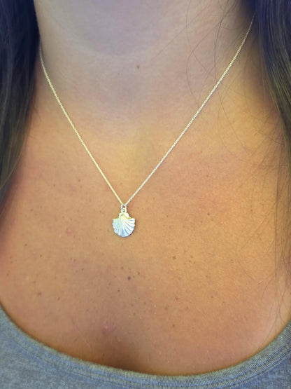Sterling Silver Clam Shell Necklace My Store