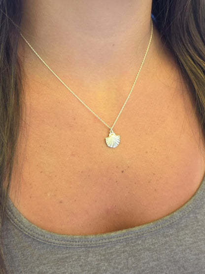 Sterling Silver Clam Shell Necklace My Store
