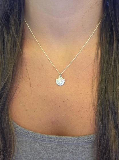 Sterling Silver Clam Shell Necklace My Store