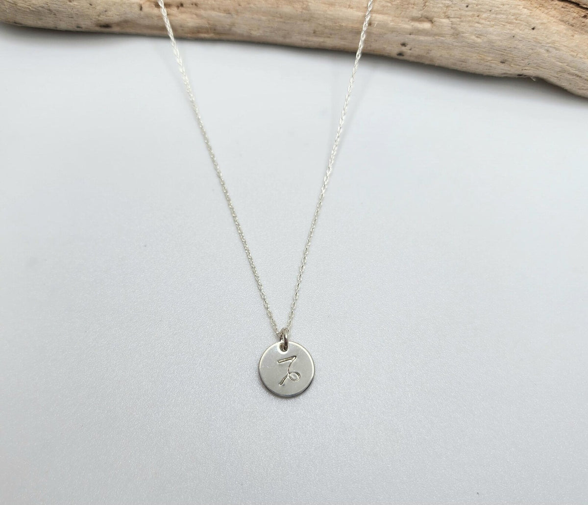 Tiny Sterling Silver Zodiac Disk Necklace My Store