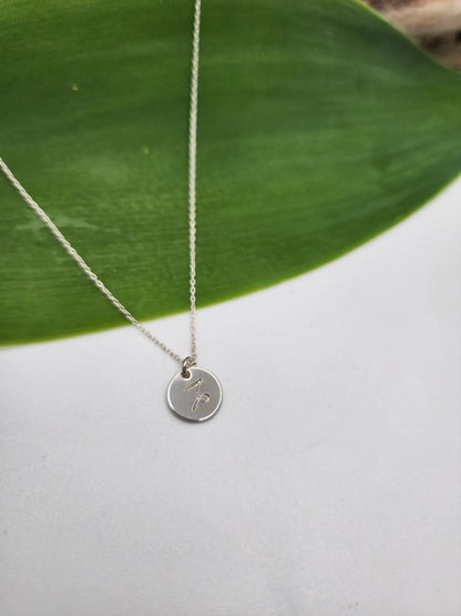 Tiny Sterling Silver Zodiac Disk Necklace My Store