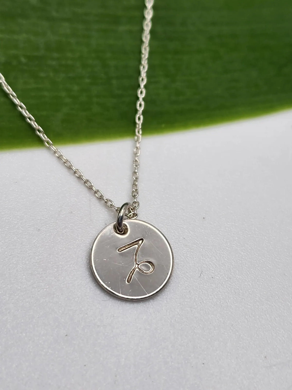 Tiny Sterling Silver Zodiac Disk Necklace My Store
