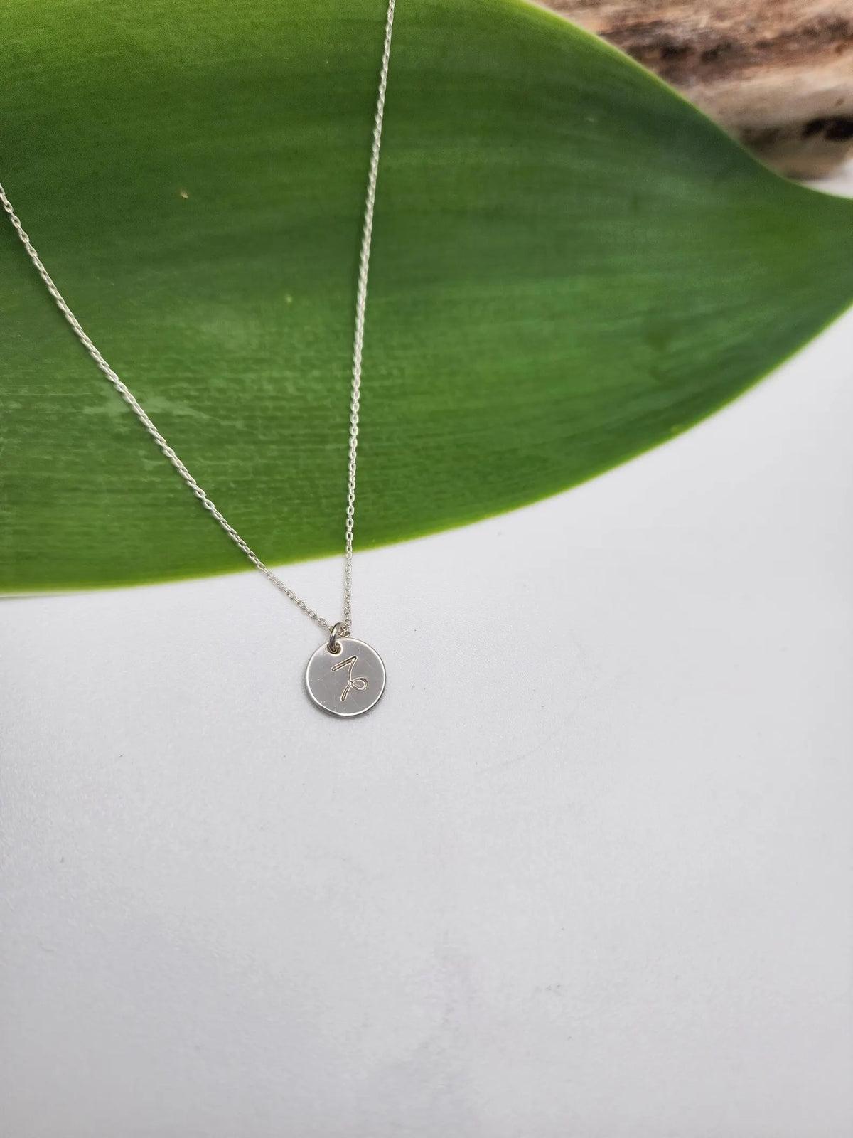 Tiny Sterling Silver Zodiac Disk Necklace My Store