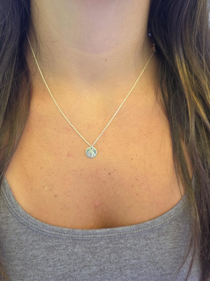 Tiny Paw Print Disk Necklace, Sterling Silver, 14k Gold Fill My Store