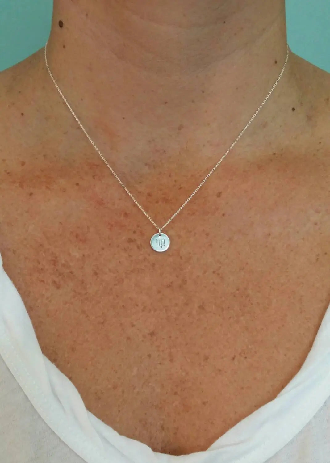 Tiny, Sterling Silver Zodiac Necklace, Birthday Sign Necklace, Simple, Silver Necklace, Birthday, Zodiac, Dainty My Store