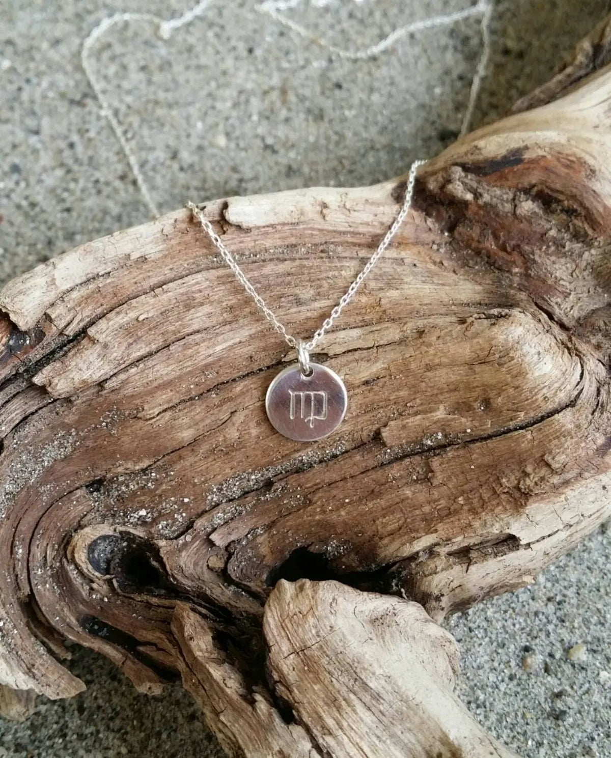 Tiny, Sterling Silver Zodiac Necklace, Birthday Sign Necklace, Simple, Silver Necklace, Birthday, Zodiac, Dainty My Store
