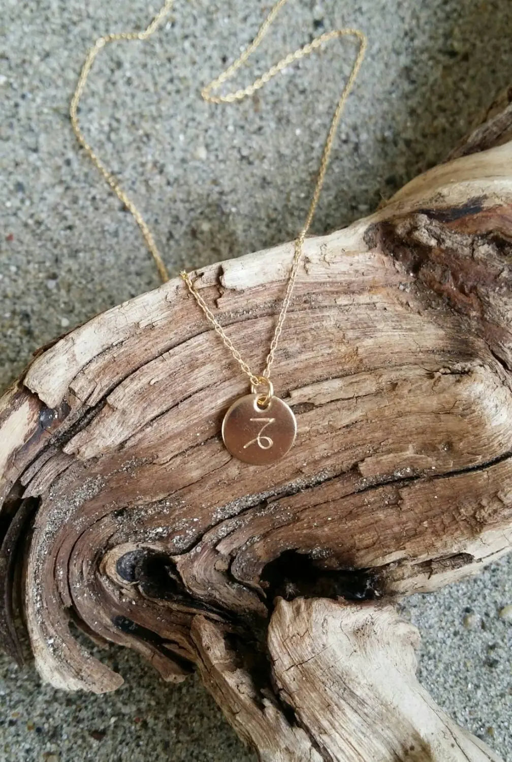 Tiny, Gold Zodiac Necklace, Birthday Sign Necklace, Simple My Store