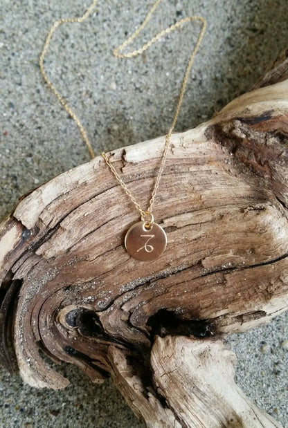 Tiny, Gold Zodiac Necklace, Birthday Sign Necklace, Simple My Store